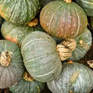Ottobre