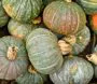 Ottobre