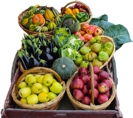 Frutta e verdura di qualità a Verona