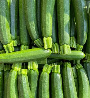 Zucchine