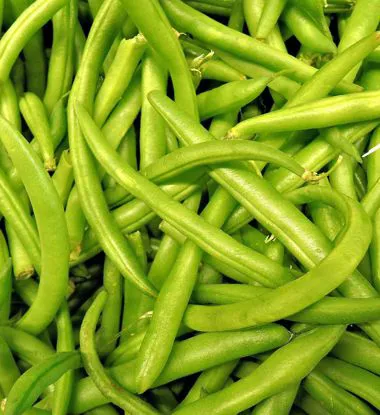 Fagiolini