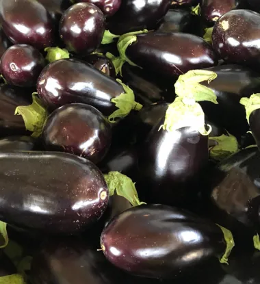 Melanzane tonde nere