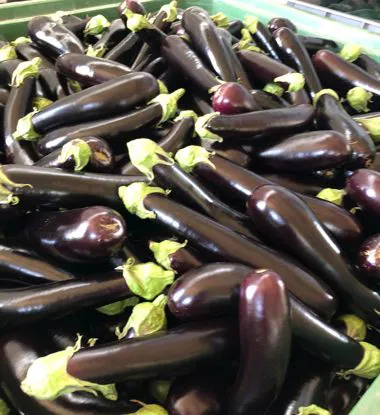 Melanzane lunghe