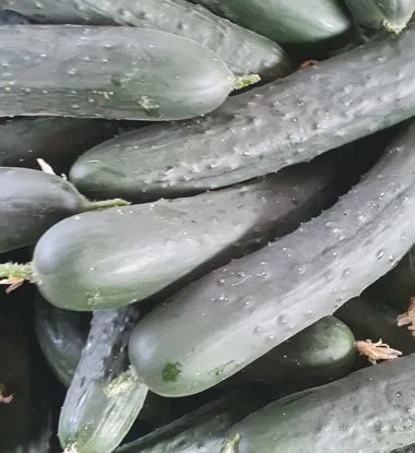 Cetrioli