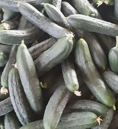 Cetrioli