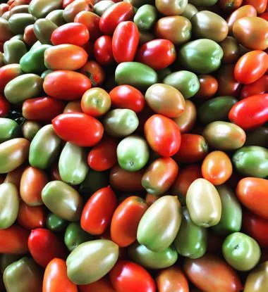 Pomodoro peretto